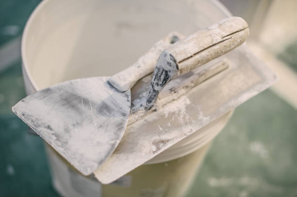 Trusted Collingdale, PA Mold Removal Experts
