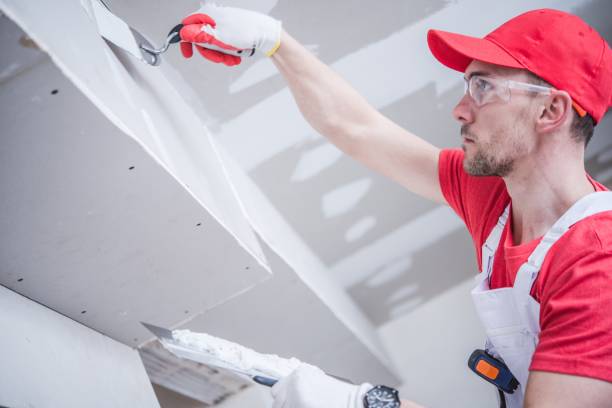 Environmental Consulting for Mold Prevention in Collingdale, PA